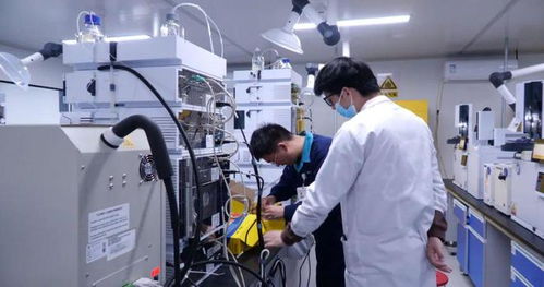 鞏留縣企業(yè)發(fā)展注入新動(dòng)能帶動(dòng)就業(yè)促增收