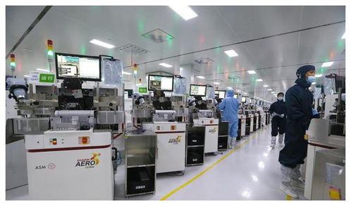 拒絕卡脖子,中國芯片突圍中的膠東制造力量,青島煙臺威海在努力