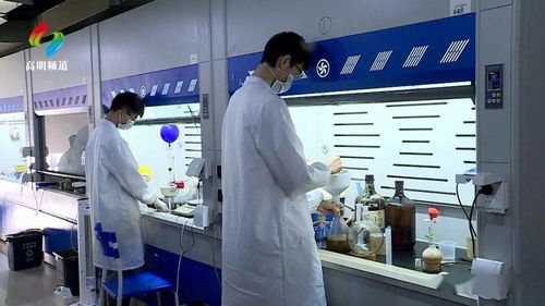 筑巢引鳳 荷城這個產業平臺打造科技創新 新引擎